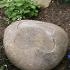 Forget me not garden boulder memorial