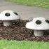 Mushroom memorial for Forget me not garden