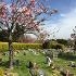 Stoke cemetery