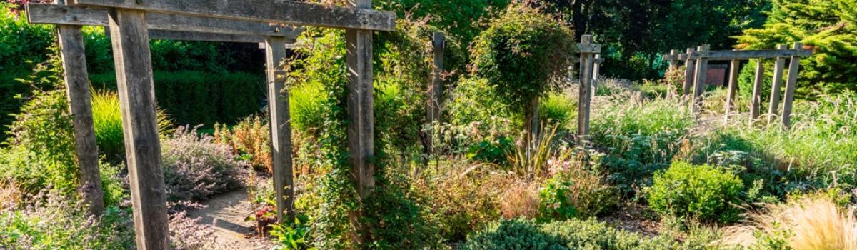 Allen House Grounds banner image