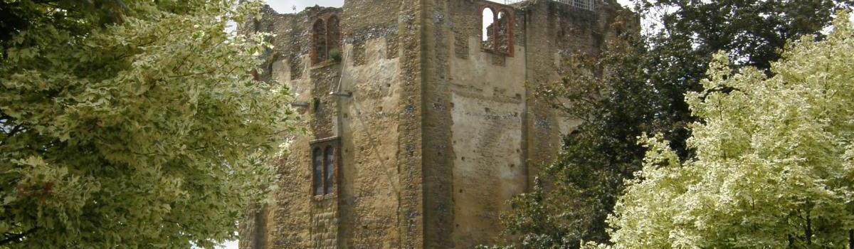Castle History banner