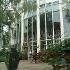 YAT garden