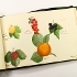 Sketchbook