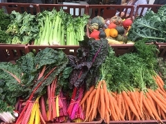 Vegetables at Farmers' Market
