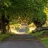 Central path Mount cemetery