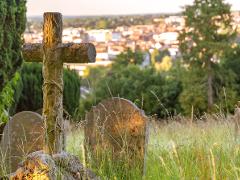 The Mount Cemetery (6)