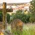 Cross Mount Cemetery
