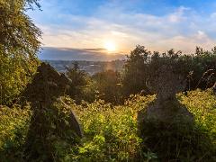 The Mount Cemetery (7)