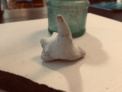 Tooth