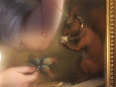 Squirrel detail
