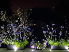 Karen Robinson Garden Colour category