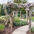 Allen house pergola