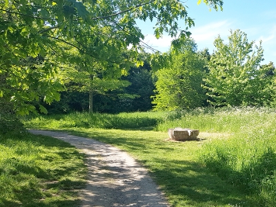 Onslow Arboretum