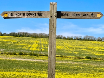 North downs sign