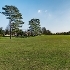 shalford park open space