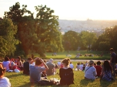 Relaxing of Restrictions PR ( People in Park) Relaxing of Restrictions PR ( People in Park)