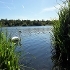 Riverside Nature Reserve 2