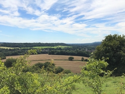Chantry Wood Campsite — photo 8