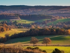 Newlands Corner Newlands Corner