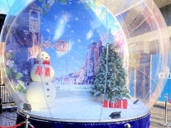 Snowglobe Guildford
