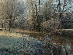 River Wey Frosty river