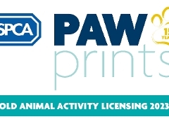 RSPCA gold RSPCA logo