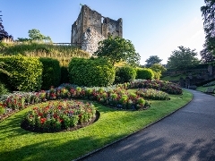 Castle Grounds morning view A view of the Castle Grounds in Guildford