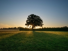 stokepark_sept19 (2)