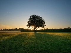 A view of Stoke Park at sunset