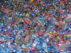 A picture of used plastic bottles