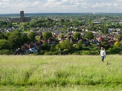 View of woman walking dog on hills above view of Guildford and the cathedral on the skyline