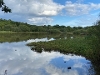 Blue sky with clouds reflected in a pond