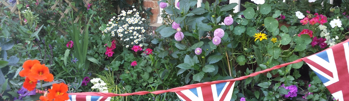 Bunting image GIB
